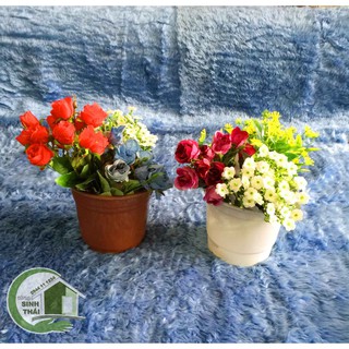 Chậu nhựa trồng cây loại mỏng - giao màu ngẫu nhiên