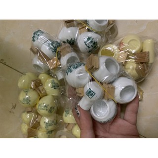 CÓNG SỨ LỒNG KHUYÊN
