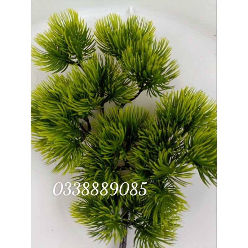 (ẢNH THẬT) Cành tùng, cành thông giả làm cây - trang trí tiểu cảnh - cây hoa giả, hàng sẵn kho