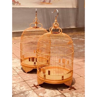 DẦU Ủ LỒNG TUẤN MI (1lit)