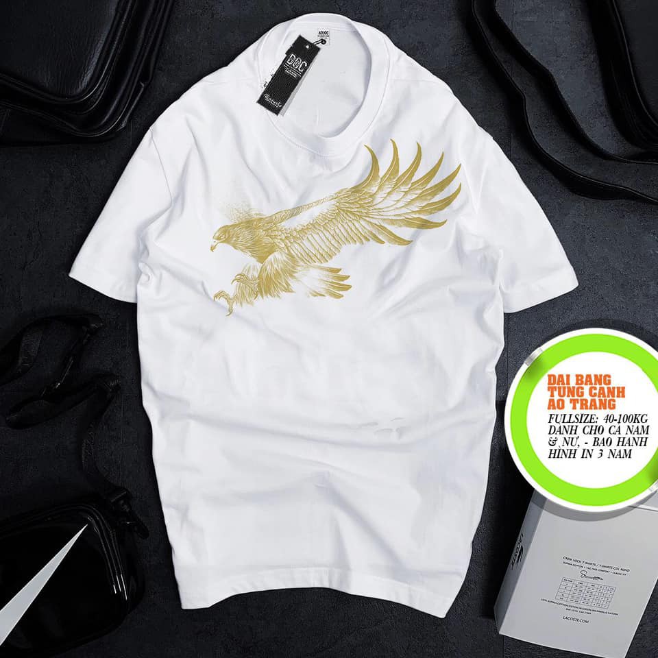 Áo thun trắng trơn big size - Ao Thun Trang Nam - Áo Thun Nam 3D