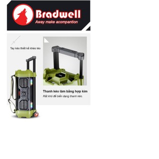 Loa Bluetooth Bradwell mini B5