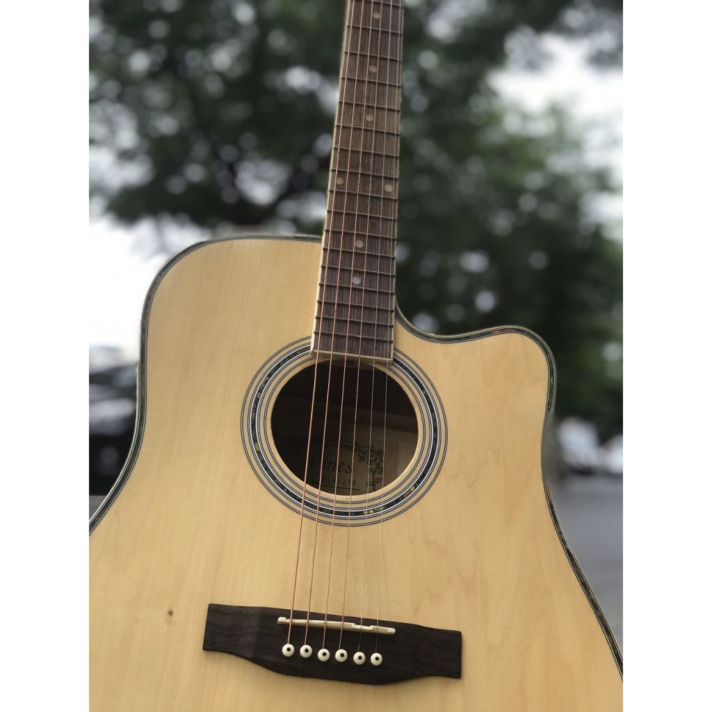 Guitar Acoustic cho người mới tập, Âm trong, Bấm không đau tay, Gỗ thịt - SOLG