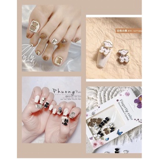 Sét cham gấu gắn móng mix màu