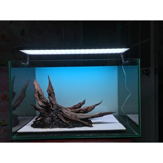 Tranh 3d dán bể cá trang trí bể cá nhiều kích thướt chọn lựa