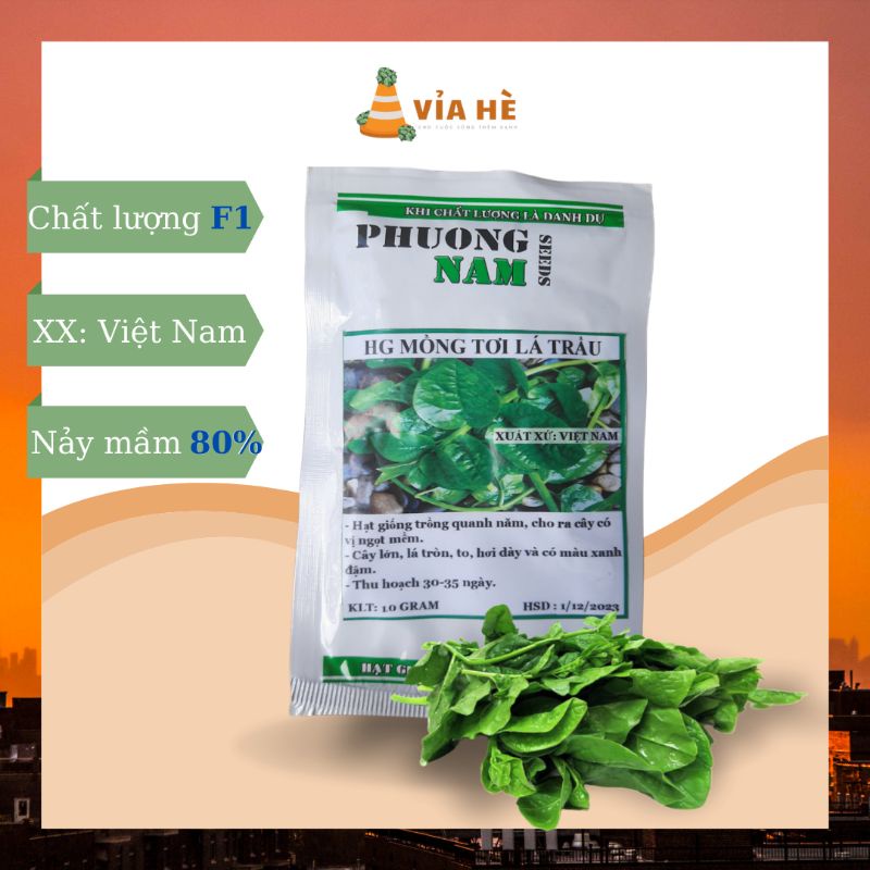 Hạt Giống Rau Mồng Tơi, Chất Lượng F1 - gói 10g