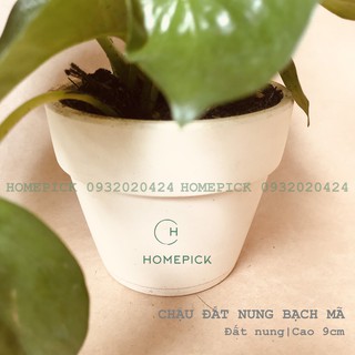 COMBO CHẬU ĐẤT NUNG