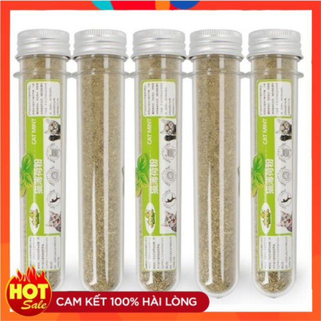 Cỏ bạc hà cho mèo - catnip cho mèo - 10g/ống