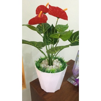 CHẬU NHỰA TRỒNG HOA CÂY CẢNH ĐỂ BÀN HÌNH KIM CƯƠNG