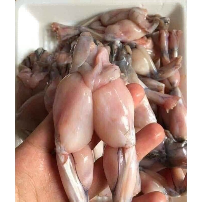 Đùi ếch làm sạch tươi ngon bịch 500g (giao hỏa tốc TPHCM)