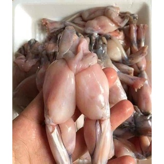 Đùi ếch làm sạch tươi ngon bịch 500g (giao hỏa tốc TPHCM)