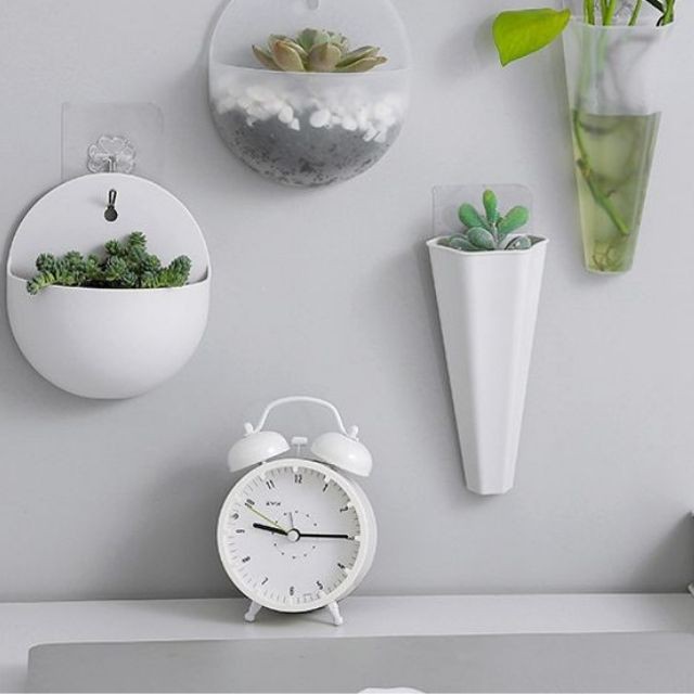 ĐẸP ] Lười treo tường nhựa treo tường xanh,treo hoa chậu thủy canh, chậu  hoa treo tường kiểu bình hoa mẫu tròn và dài | Shopee Việt Nam