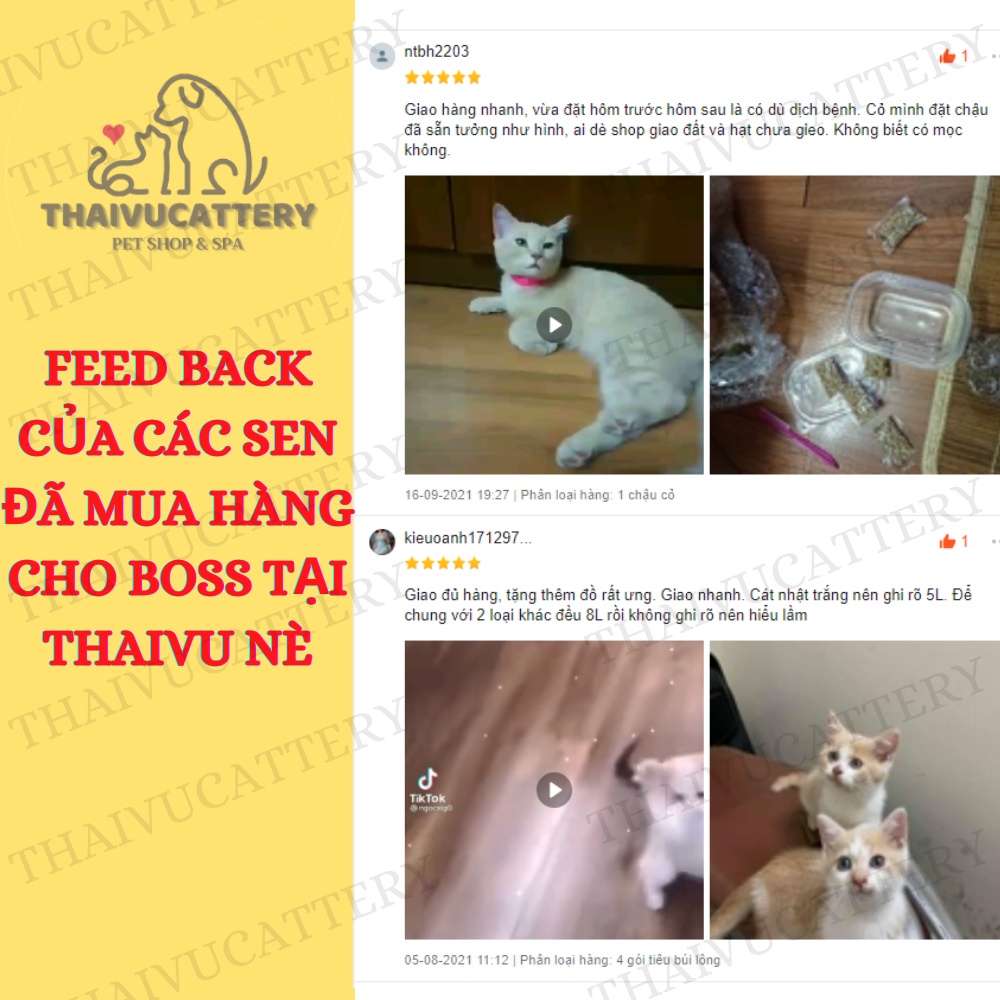 [Mã PET50K giảm Giảm 10% - Tối đa 50K đơn từ 250K] cỏ lúa mạch cho mèo kích thích tiêu hóa cho mèo