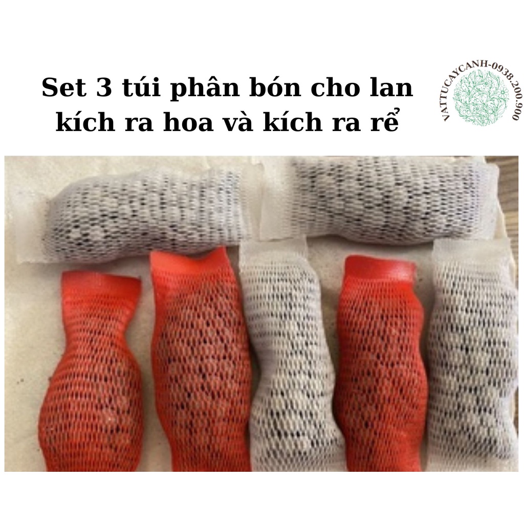 Set 3 tép phân bón cho lan kích ra hoa và kích ra rể