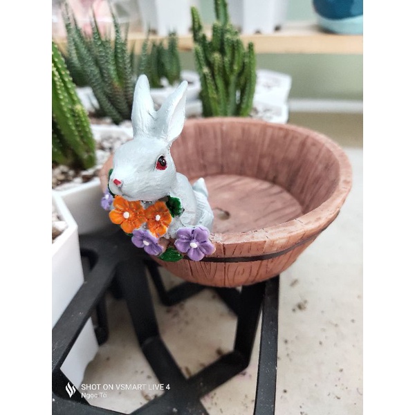 Chậu trồng cây hình chú heo, thỏ