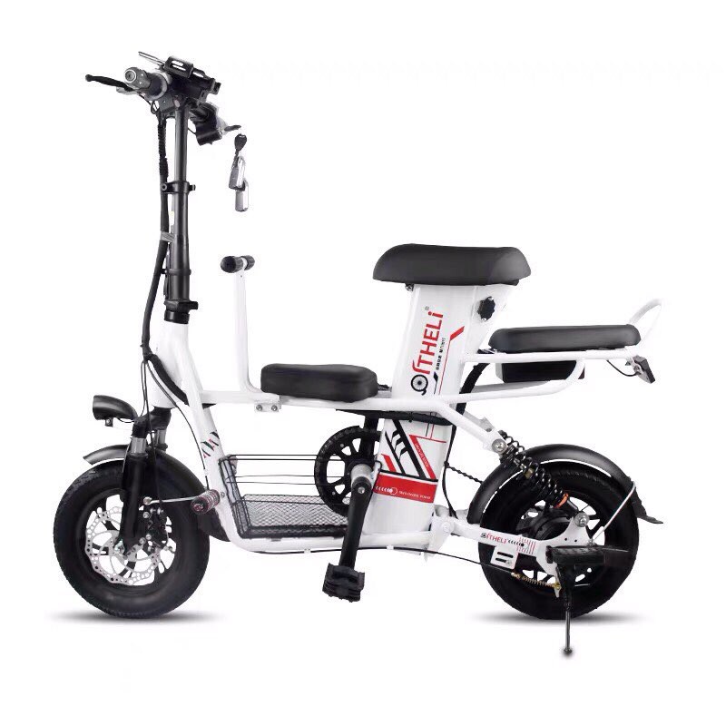 Xe điện gấp Theli Q4