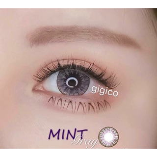 LENS MẮT MINT GRAY