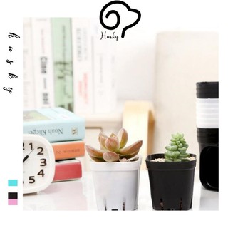 Chậu nhựa mini, chậu trồng cây nhỏ, sen đá nhiều màu sắc