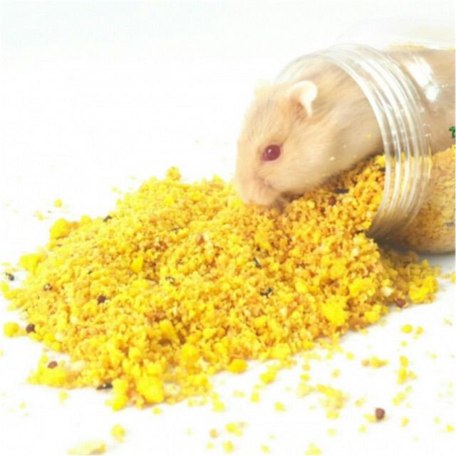 Cốm trứng vỗ béo cho Hamster
