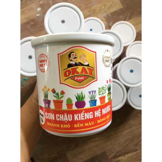 Sơn Chậu Kiểng Hệ Nước Okay 1Kg