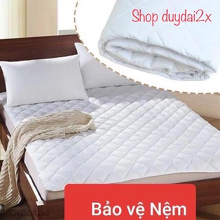 Tấm bảo vệ đệm loại chống thấm cao cấp đủ kt