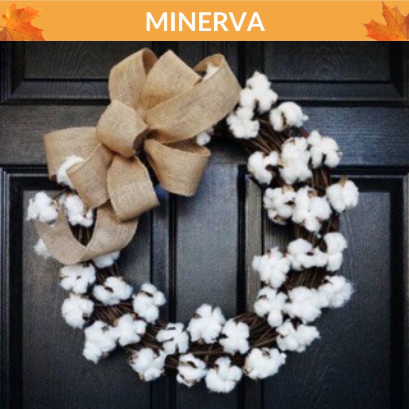 [TRANG TRÍ] Hoa bông gòn cotton cắm hoa khô , trang trí nhà cửa, phụ kiện chụp ảnh sản phẩm