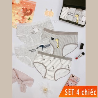 (ảnh tự chụp) Bộ 4 Quần Lót Nữ - Set 07 - Hươu cao cổ