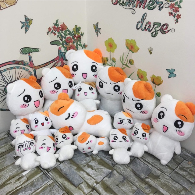 Set cảm xúc 580k