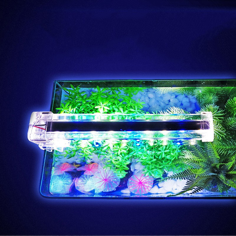 Đèn Led Kẹp Bể Cá Min, Bóng đèn led lắp cho bể cá LED D30 Giúp Bể Cá Nhà Bạn Trở Lên Sinh Động [BẢO HÀNH UY TÍN]