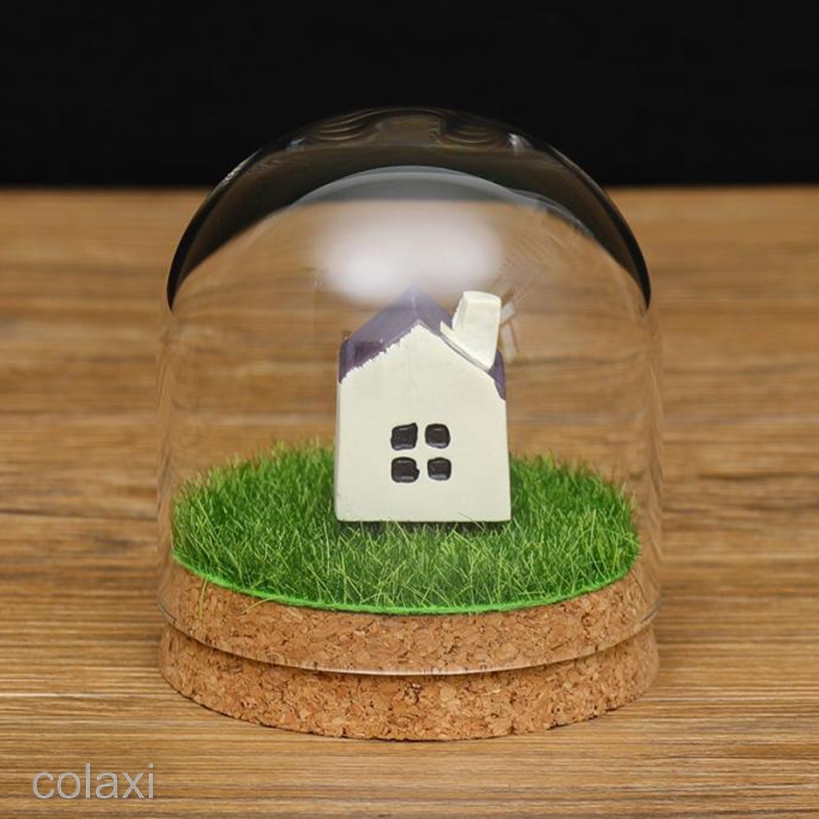 [COLAXI] Clear Glass Display Dome Cover Cloche Bell Jar Succulent Terrariums w/ Cork
