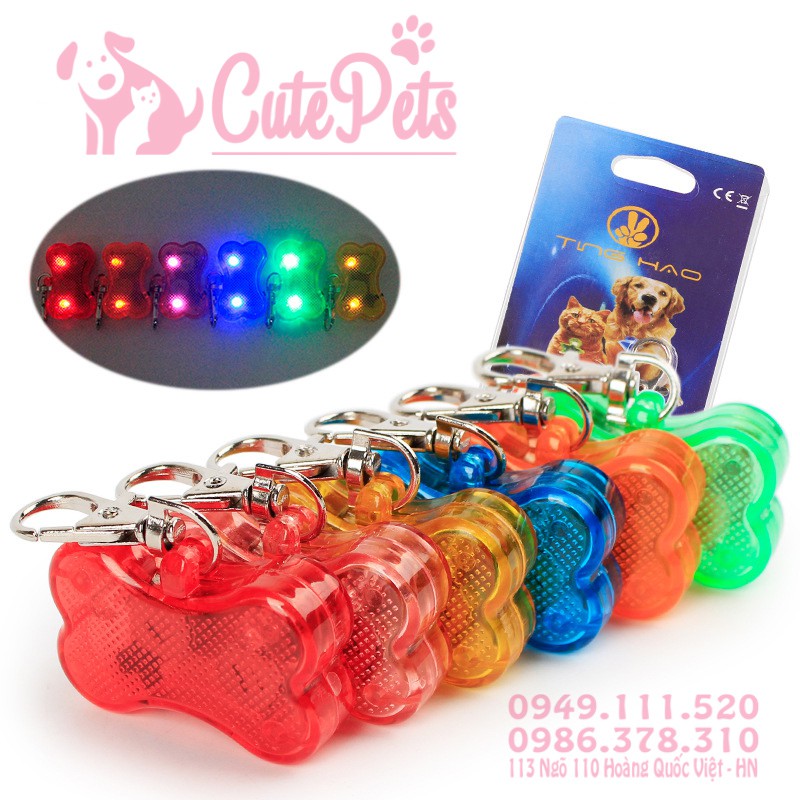 🐕 Thẻ tên đèn LED đi đêm tránh thú cưng đi lạc - CutePets Phụ kiện chó mèo Pet shop Hà Nội