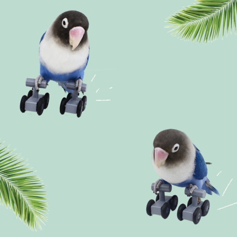 Bộ Đồ Chơi Ván Trượt Mini Luyện Tập Trí Thông Minh Cho Vẹt