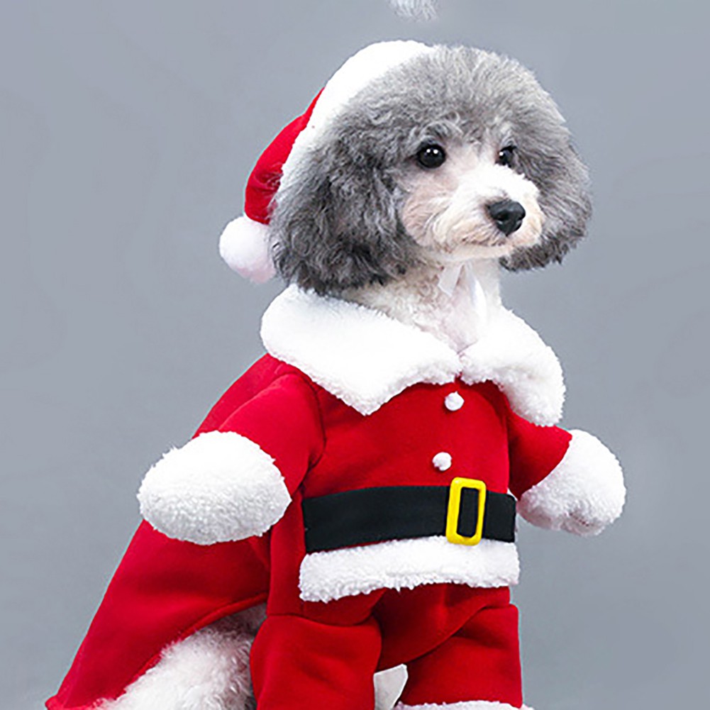 Trang phục hóa trang ông già noel cho thú cưng