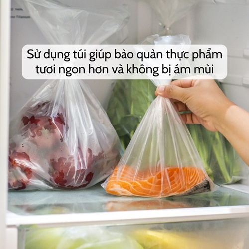 Túi đựng thực phẩm sinh học  Túi bảo quản đồ ăn tự hủy An Lành siêu dai, không mùi thân thiện với môi trường nhiều cỡ