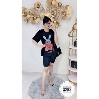 Bigsize Set bộ thun in hình thỏ S 283