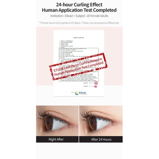Etude Lash Perm Curl Fix Mascara