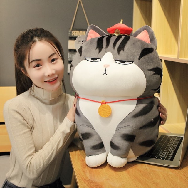 Mèo Hoàng Thượng minisso cao cấp nhập khẩu