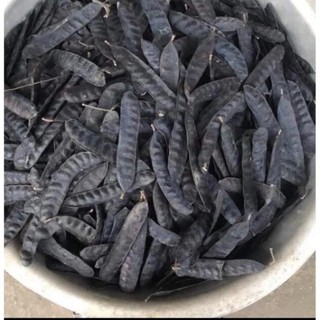 1Kg Quả Bồ kết khô mẩy, hàng loại 1
