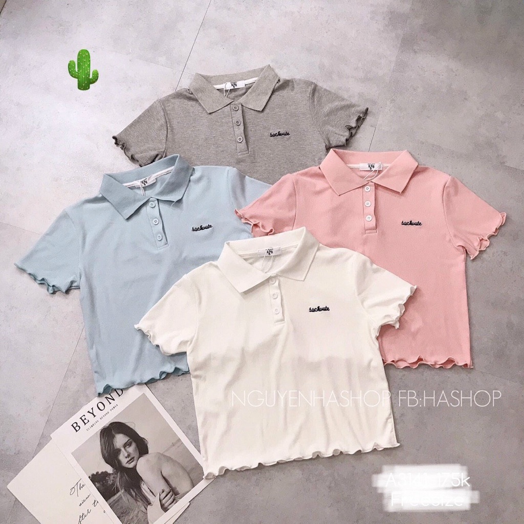 [Dưới 50kg] Áo thun gân polo đính nút tay ngắn lai cuốn biên Pc