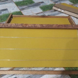 Combo 6 khung cầu ong mật (ong ý)