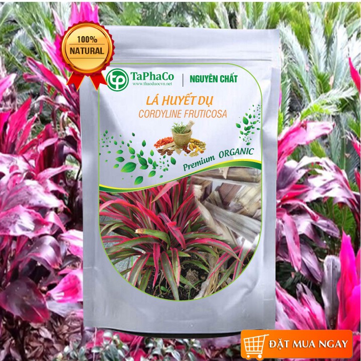 Lá Huyết Dụ Sấy Khô 500g