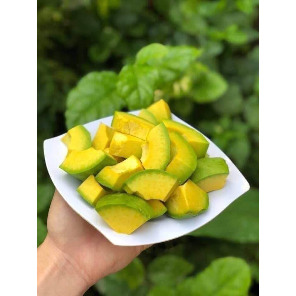 Chỉ ship HÀ NÔI _ Bơ cấp đông chia COST sẵn cho quán cafe, sinh tố