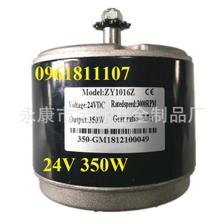 Động cơ 12V 300W