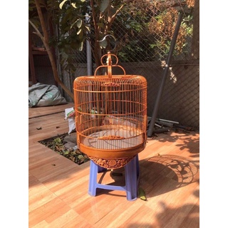 Lồng Đục Choè Than from cao (sz 42)