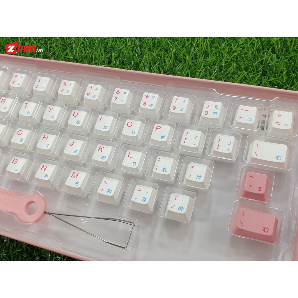 Bộ Keycap AKKO Tokyo R2 Alpha 49 Keys