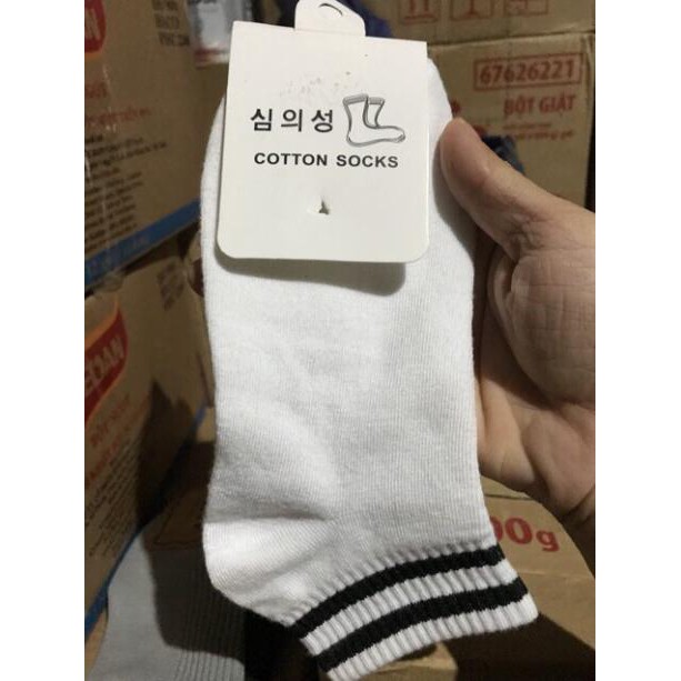 Set 10 Đôi Tất Kẻ Hàn Quốc