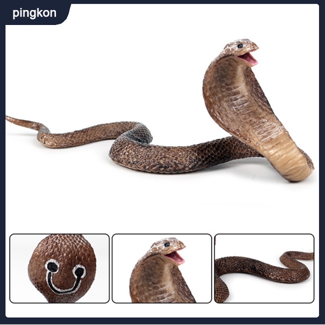 Tdg Mô Hình Rắn Giả Đáng Sợ Trang Trí Halloween