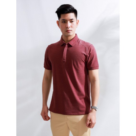 (Mã KHOB2210 giảm 20k) Áo thun nam polo ARISTINO slim 2 màu Aps032s8 size S(50-58 kg) | BigBuy360 - bigbuy360.vn