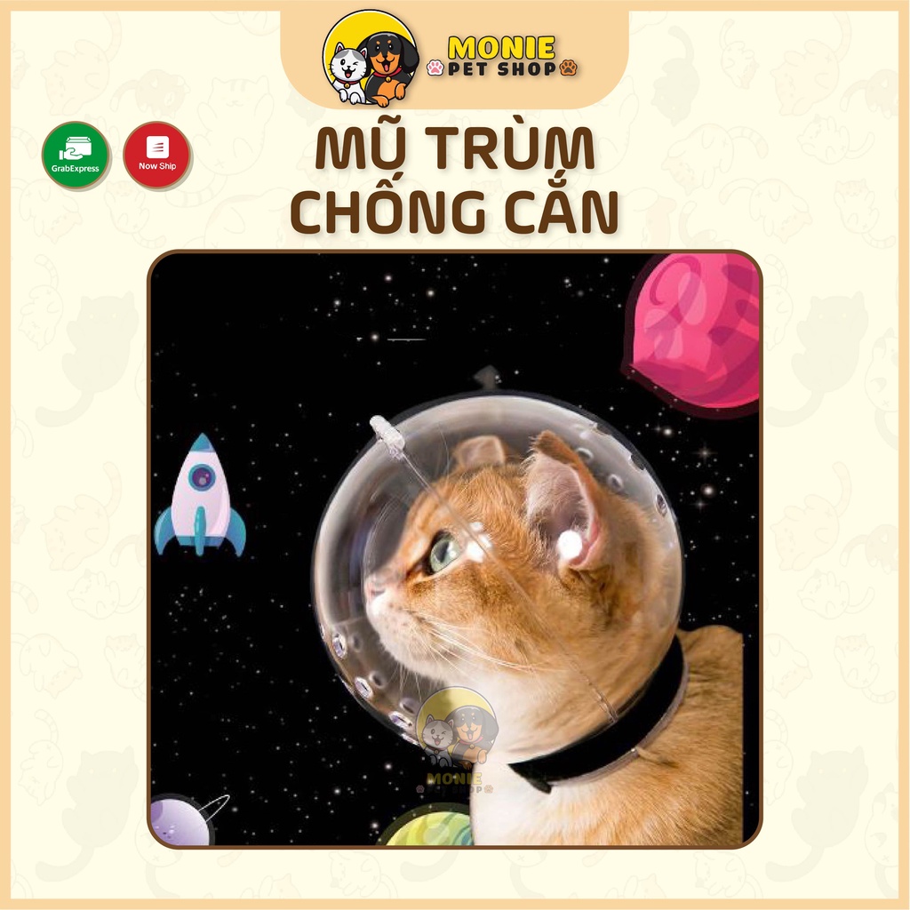 [Hỏa tốc] Mũ trùm đầu chống cắn cho mèo
