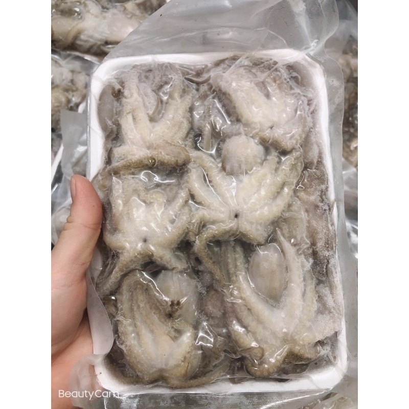 Bạch tuộc baby